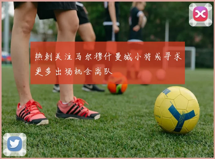 热刺关注马尔穆什曼城小将或寻求更多出场机会离队